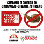 Banner-para-Site-Ouvidor-2018-Caramujo