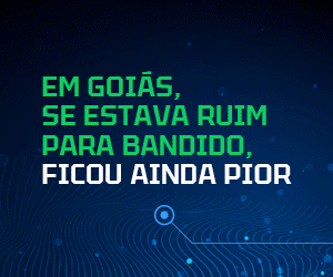 Google search engine