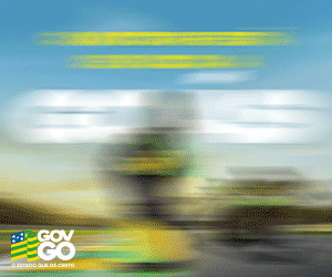 Google search engine