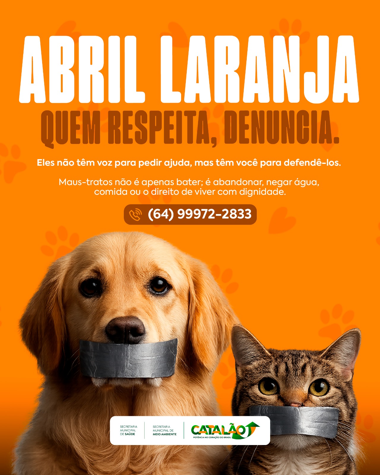 Google search engine